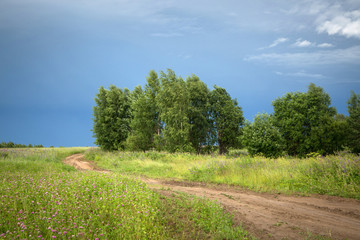 Fototapeta na wymiar Road through the green field with birch trees after a storm