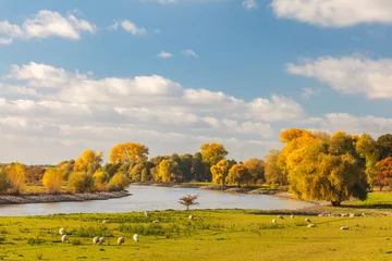Foto op Canvas Autumn view of the Dutch river IJssel between Arnhem and Zutphen © Martin Bergsma