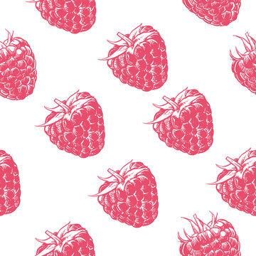 Raspberry pattern including seamless on white background. Hand d