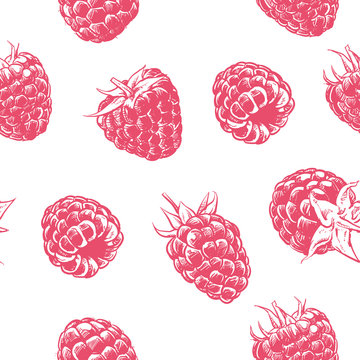 Raspberry pattern including seamless on white background. Hand d
