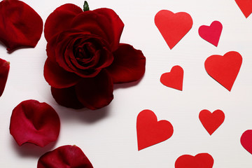 Fototapeta na wymiar Postcard to Valentine's Day - Bright red rose, rose petals and paper red hearts on a white table.