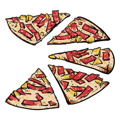 Vector pizza slice on a white background. Pizza vector illustrat