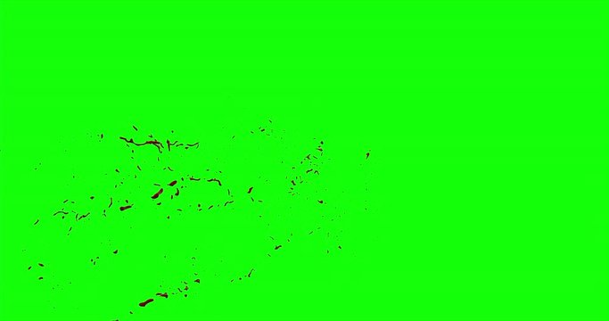 4k Blood Burst Slow Motion (Green Screen) 147
