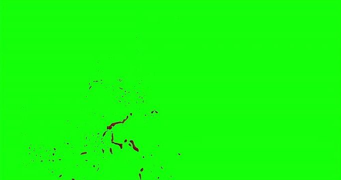 4k Blood Burst Slow Motion (Green Screen) 154