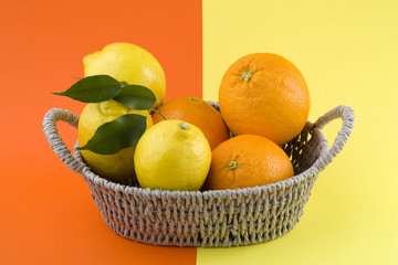 citrus fruits in the bowl