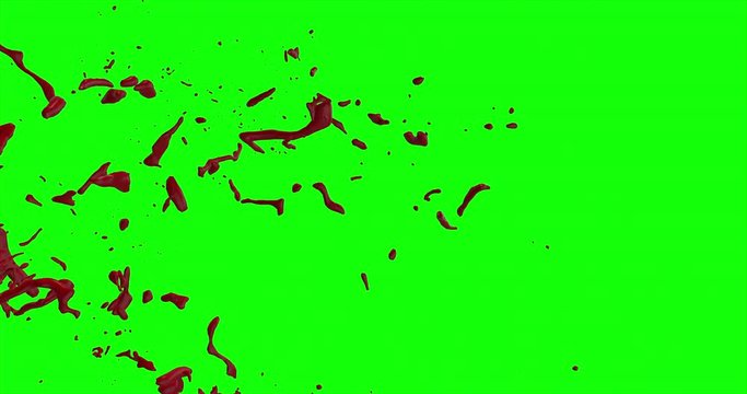 4k Blood Burst Slow Motion (Green Screen) 157