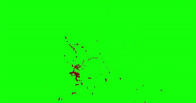4k Blood Burst Slow Motion (Green Screen) 168
