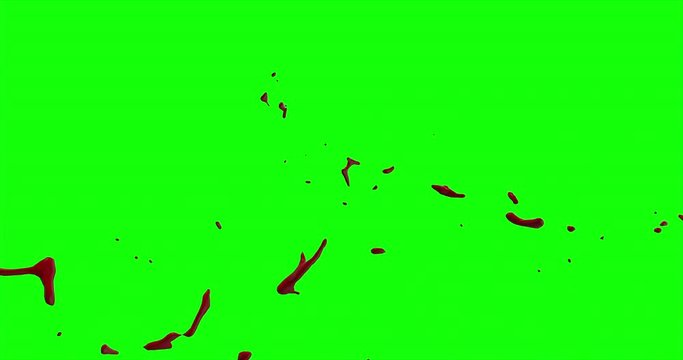 4k Blood Burst Slow Motion (Green Screen) 171