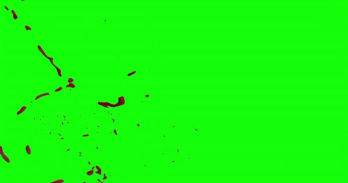 4k Blood Burst Slow Motion (Green Screen) 182