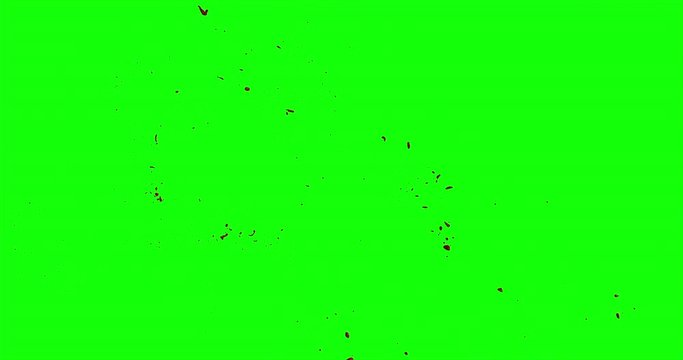 4k Blood Burst Slow Motion (Green Screen) 186