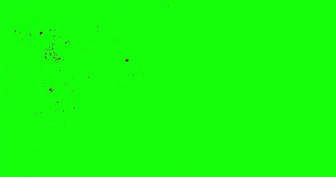 4k Blood Burst Slow Motion (Green Screen) 187