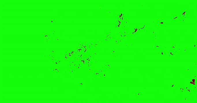 4k Blood Burst Slow Motion (Green Screen) 199