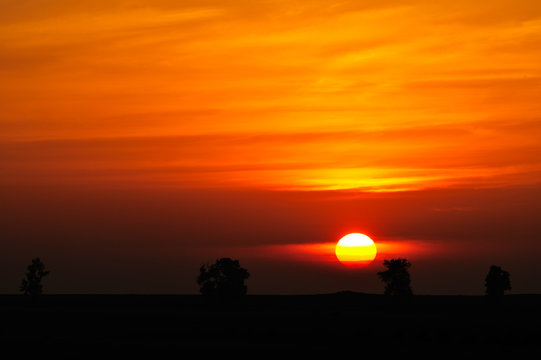 Landscape, sunny dawn in a field