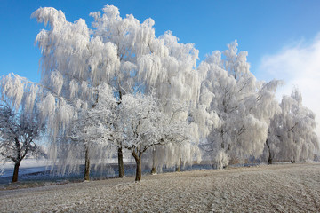 Winterzauber