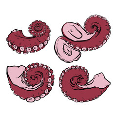 Vector tentacles drawing on a white background. Hand drawn monoc