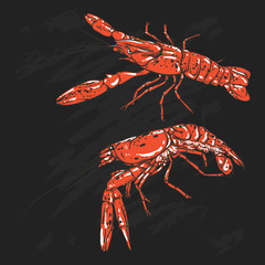 Vector shrimp drawing on a black background. Hand drawn seafood