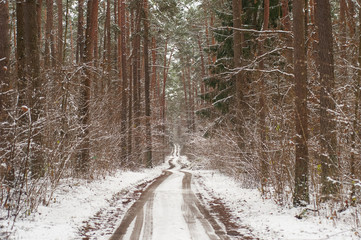 Gravel road in the forest covered with snow.