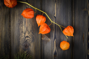 The orange physalis on a wood background