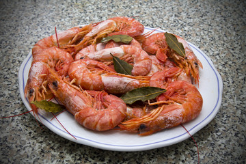 Prawns on the table plate
