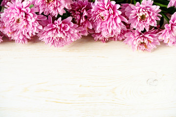 chrysanthemum on white boards, copyspace