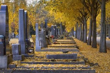 Gr&auml;ber im Herbst