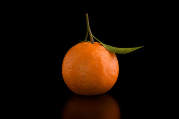 Fruit mandarin on a black background