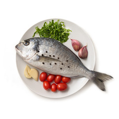 Orata fresca su fondo bianco