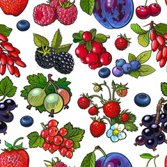 Berries - blueberry, raspberry, gooseberry, current, plum, sketch seamless pattern illustration on white background. Garden, forest berries seamless patern, backdrop, textile, wraping paper design