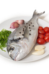 Orata fresca su fondo bianco