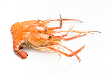 Grilled giant freshwater prawn isolated on white