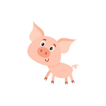 Funny little smiling pig with swirling tail, cartoon vector illustration isolated on white background. Cute little pig standing on four legs and smiling shyly, decoration element
