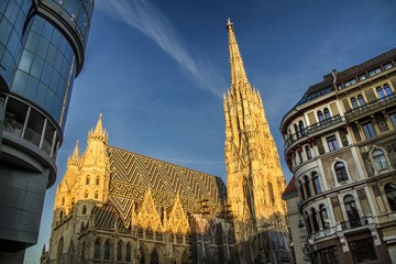 Fototapeta na wymiar Stephansdom in Wien
