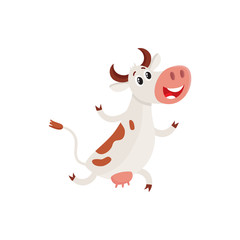 Funny brown and white spotted cow running on hind legs with fore ones up, cartoon vector illustration isolated on white background. Funny cow running, hurrying somewhere, dairy farm concept