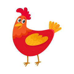 Funny cartoon red and orange chicken, hen standing and smiling happily, cartoon vector illustration isolated on white background. Cute and funny colorful chicken, fire rooster