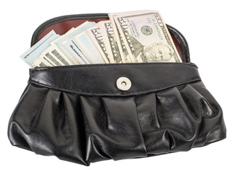 handbag full of money