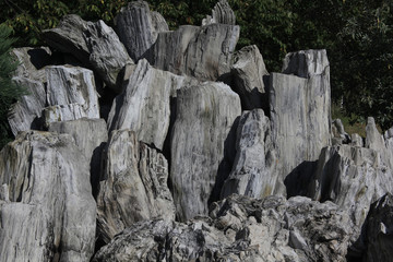 Verwittertes Holz.2