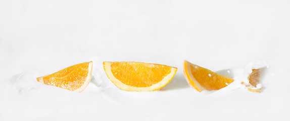 Sliced citrus fruits (oranges) in the milk