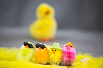 lustige Küken zu Ostern