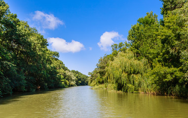 Obraz premium River Kamchia in Bulgaria during the summer