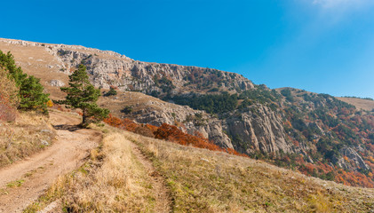 Panoramic landscape with earth road and hiking track on mountain pasture Demerdzhi, Crimean peninsula