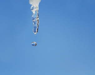 shiny clear dripping icicle on blue sky background