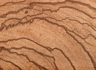 Wood texture, background of wood texture, wood texture pattern.