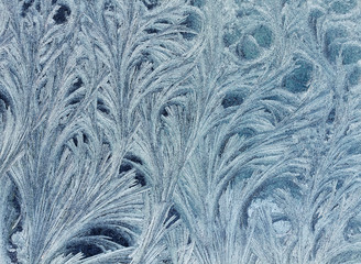 beautiful abstract background from frosty pattern on glass in the form of furry twigs and feathers