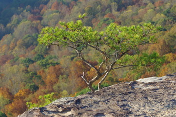 Stone Door State Park TN