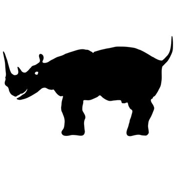 black and white image of rhinoceros with excrements