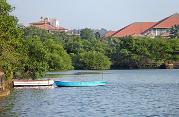 Two country fishing boats anchored in mangrove lake in Panjim, Goa