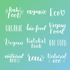 Labels with vegetarian and raw food diet designs. Organic food tags and elements set for meal and drink, cafe, restaurants and organic products packaging. Vector illustrated bio detox logo.