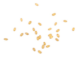 wheat grain isolated on white background