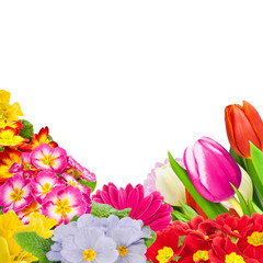 Springtime flowers background
