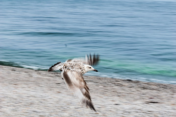 Im Anflug